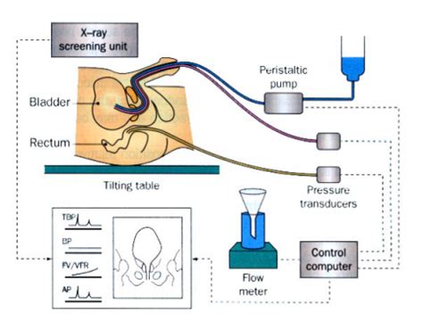 scratch test bladder|bladder pressure testing procedure.